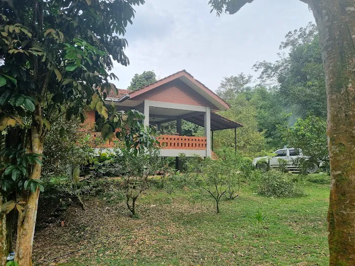 D'Imar Kebun Batang Kali Picture 10