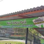 Air Tebu/Soya/Kelapa Original 100%
