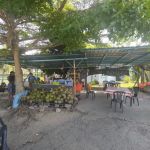 Air Kelapa Sedap