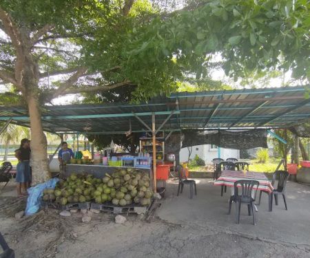 Air Kelapa Sedap