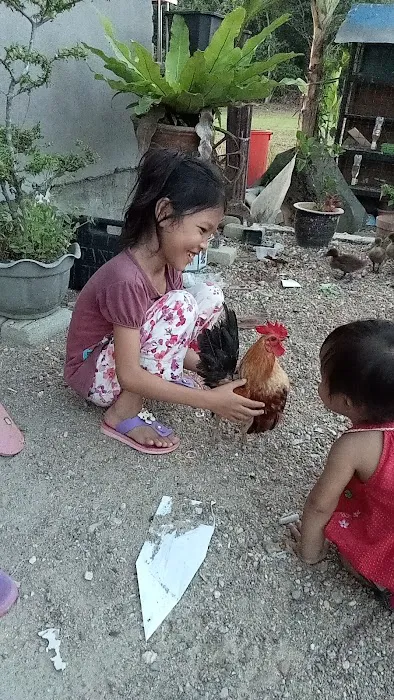 Pembekal anak pokok Picture 9