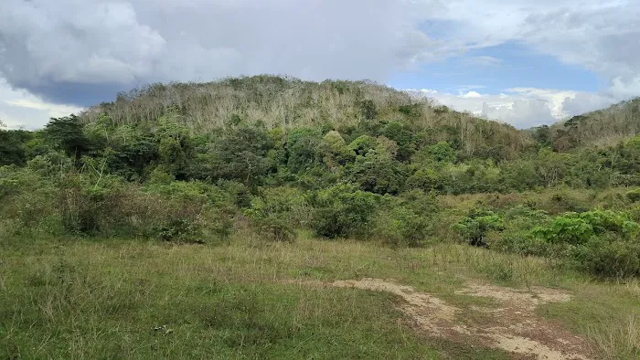 Padang Kerbau Lubuk Merbau Picture 1