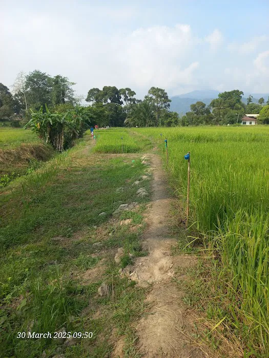 Meriam Besi Kampung Talang Picture 1