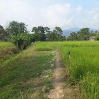 Meriam Besi Kampung Talang ico