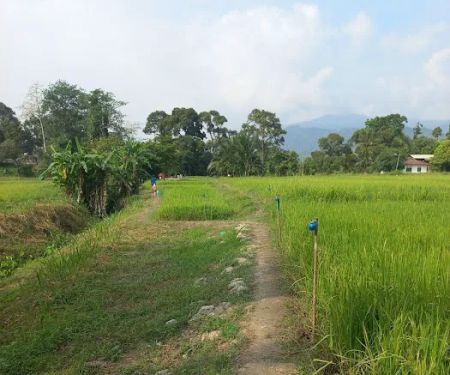 Meriam Besi Kampung Talang