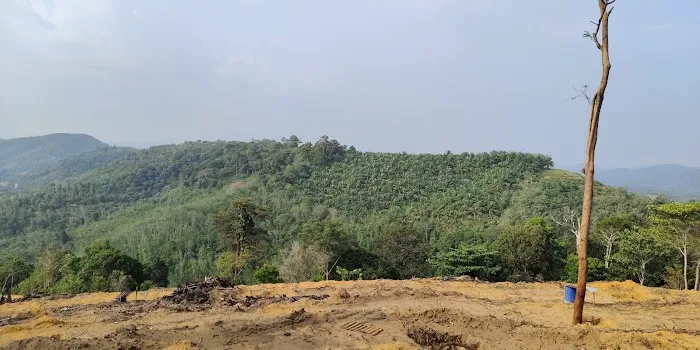 Bukit Payung Picture 3