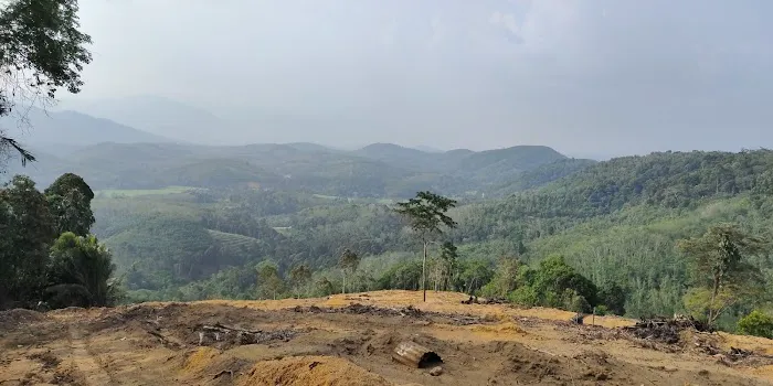 Bukit Payung Picture 10
