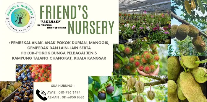 Friend's Nursery Kampung Talang Changkat Picture 2