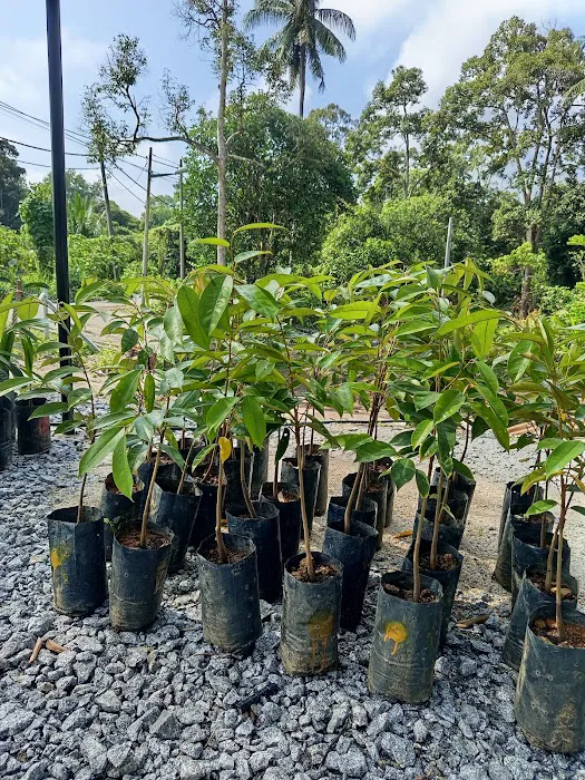 Friend's Nursery Kampung Talang Changkat Picture 1