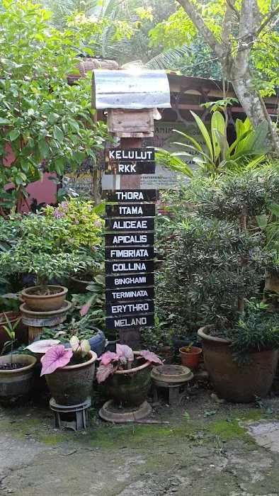 Taman Ratu Kelulut Kuale Picture 1