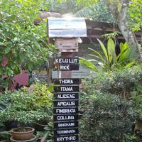 Taman Ratu Kelulut Kuale ico