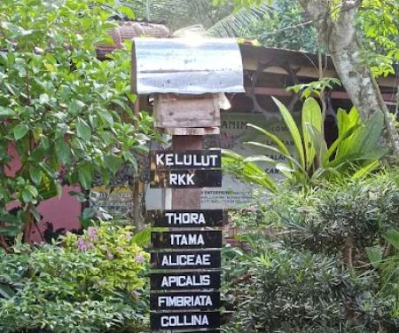 Taman Ratu Kelulut Kuale