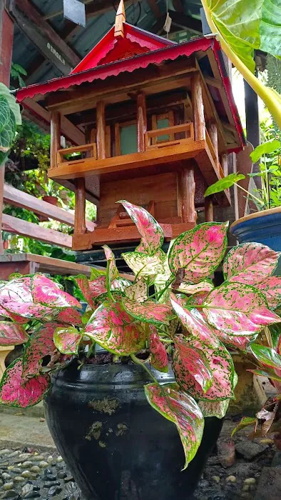 Taman Ratu Kelulut Kuale Picture 10