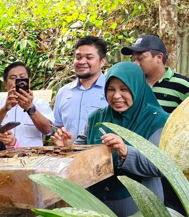 Taman Ratu Kelulut Kuale Picture 7