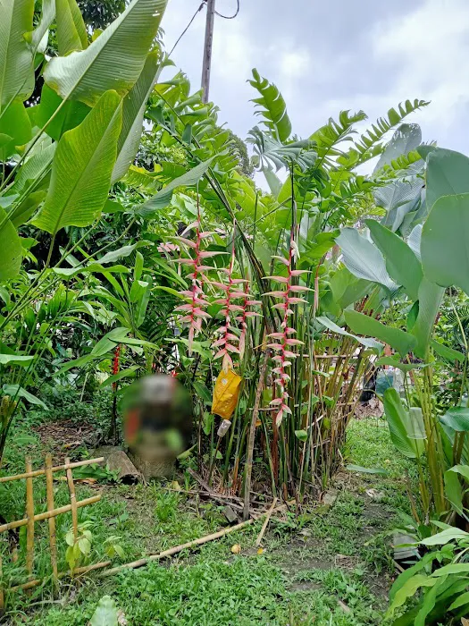 Teratak Deehani Picture 1