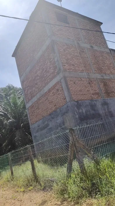 pokok kelapa sawit Picture 2