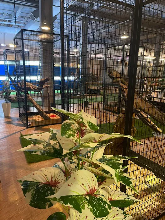 Bamboo Mini Zoo In Town Picture 6