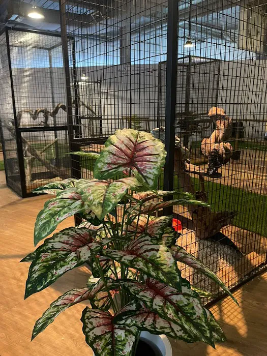 Bamboo Mini Zoo In Town Picture 8