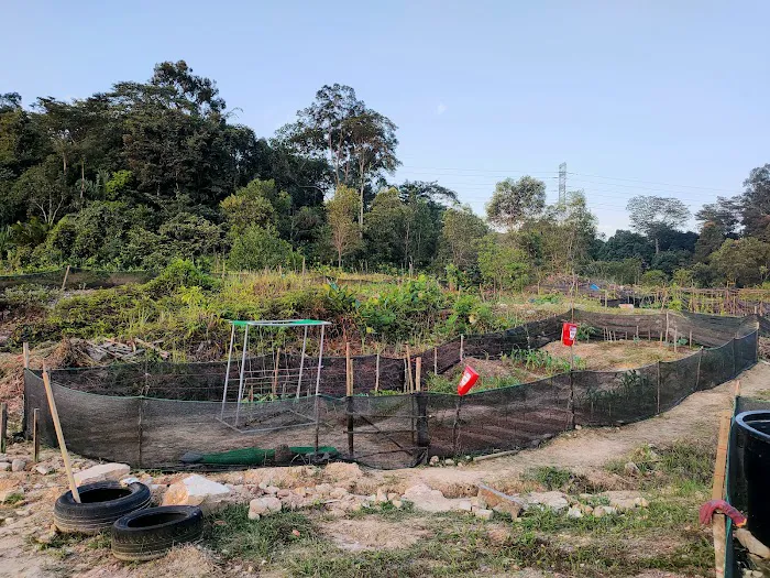 Taman Suria Tropika Community Garden Picture 3