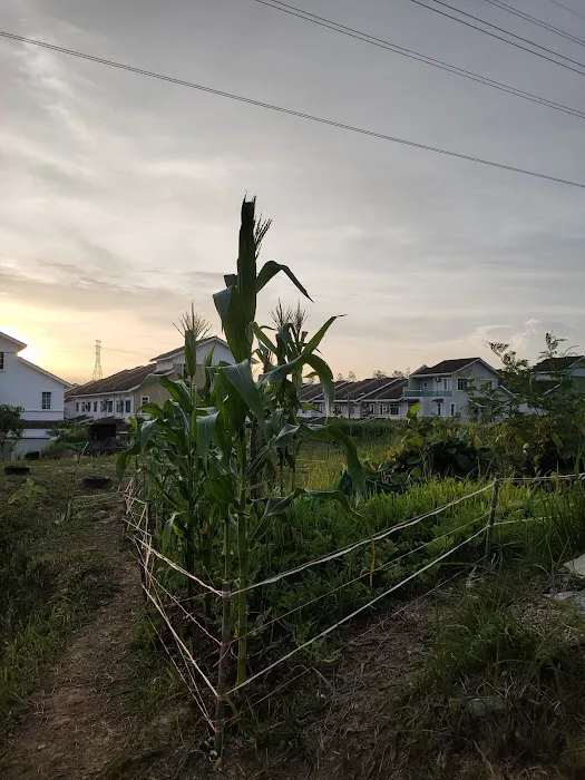 Taman Suria Tropika Community Garden Picture 2