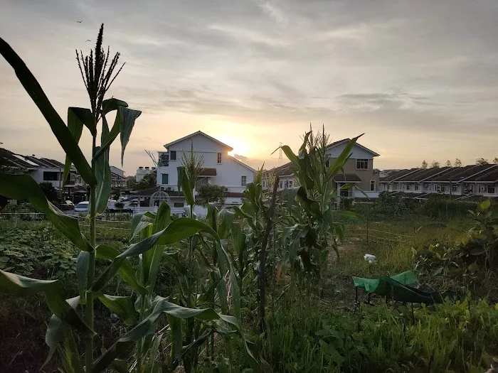 Taman Suria Tropika Community Garden Picture 1
