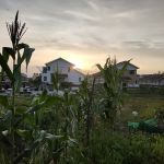 Taman Suria Tropika Community Garden
