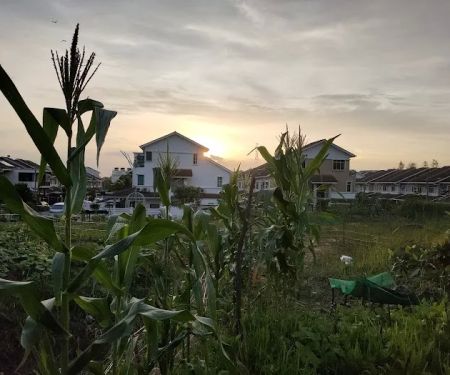 Taman Suria Tropika Community Garden