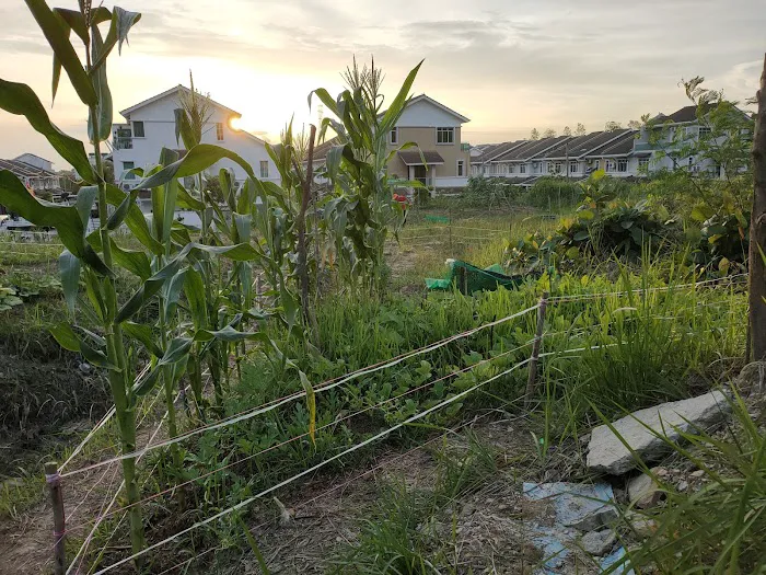Taman Suria Tropika Community Garden Picture 5