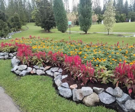 English Garden