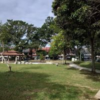 My Precious Petals Sdn. Bhd. ico