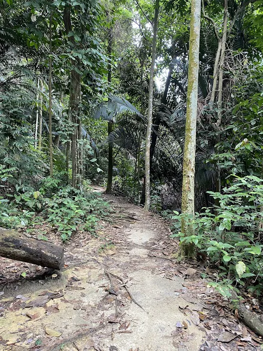 Bukit Kembara Peak Picture 1
