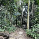 Bukit Kembara Peak
