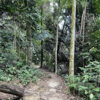 Bukit Kembara Peak ico