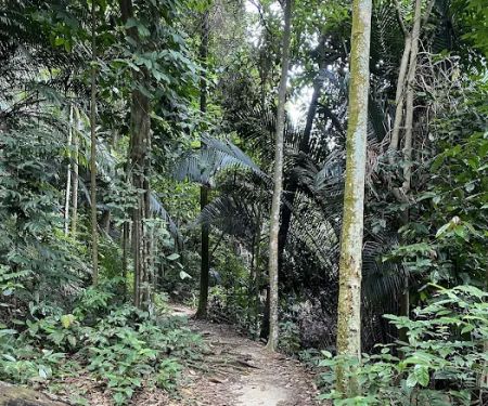 Bukit Kembara Peak