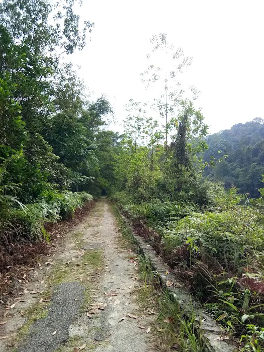 Bukit Kembara Peak Picture 9