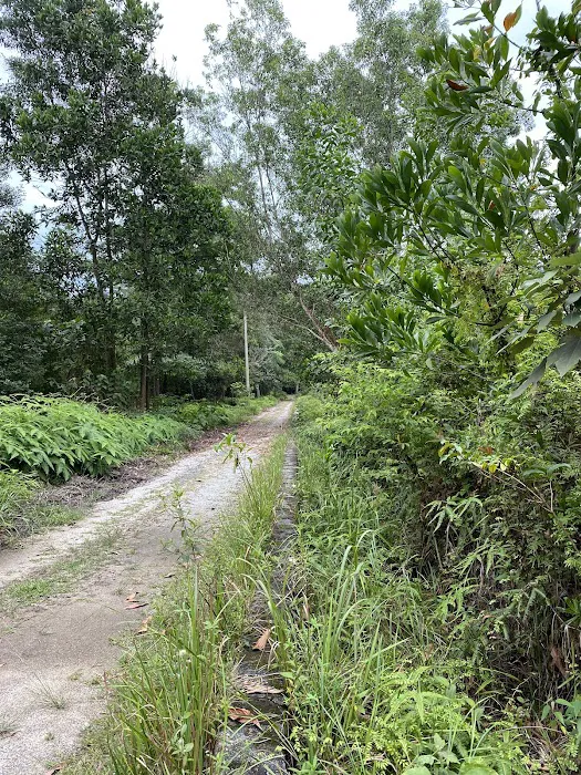 Bukit Kembara Peak Picture 10