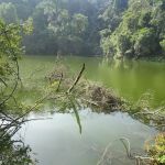 Air Terjun Empangan Tasik Hijau