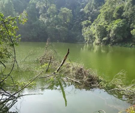 Air Terjun Empangan Tasik Hijau