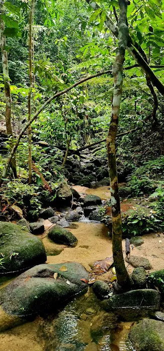 Air Terjun Empangan Tasik Hijau Picture 5