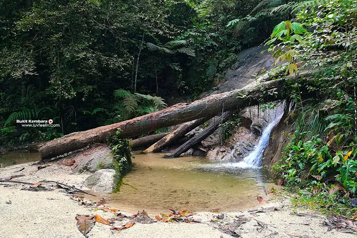 Air Terjun Empangan Tasik Hijau Picture 8