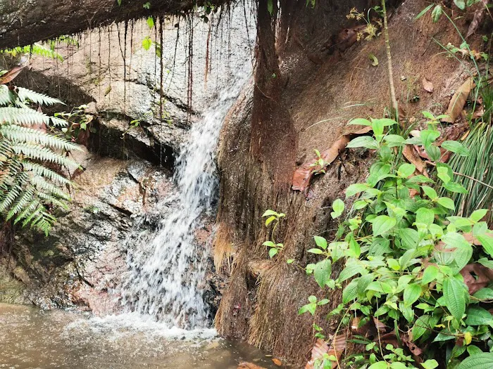 Air Terjun Empangan Tasik Hijau Picture 9