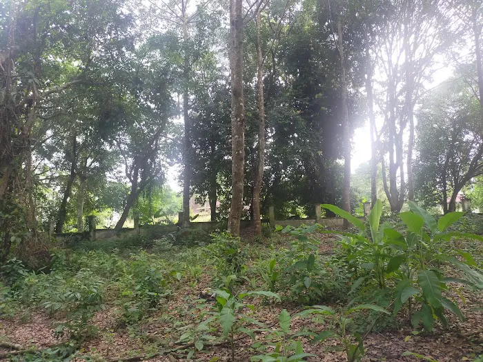 Taman Negeri (Rasah) Picture 2