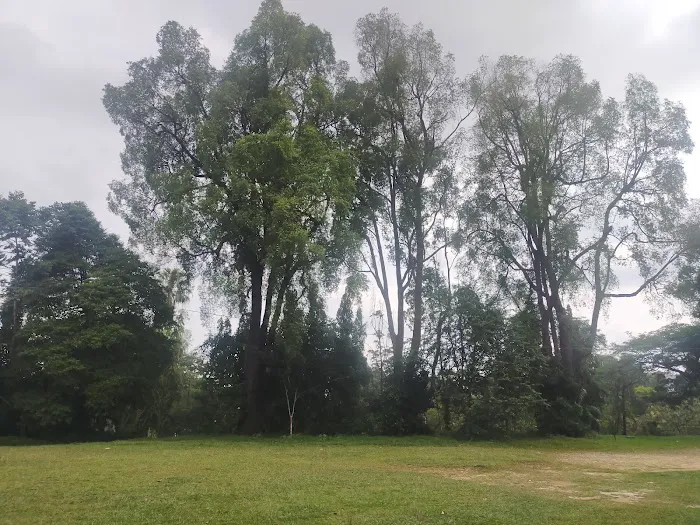 Taman Negeri (Rasah) Picture 1