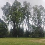 Taman Negeri (Rasah)