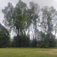 Taman Negeri (Rasah) ico