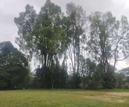 Taman Negeri (Rasah)