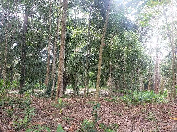 Taman Negeri (Rasah) Picture 5