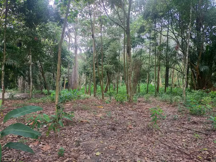 Taman Negeri (Rasah) Picture 6