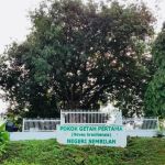 Pokok Getah Pertama Negeri Sembilan