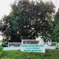 Pokok Getah Pertama Negeri Sembilan ico